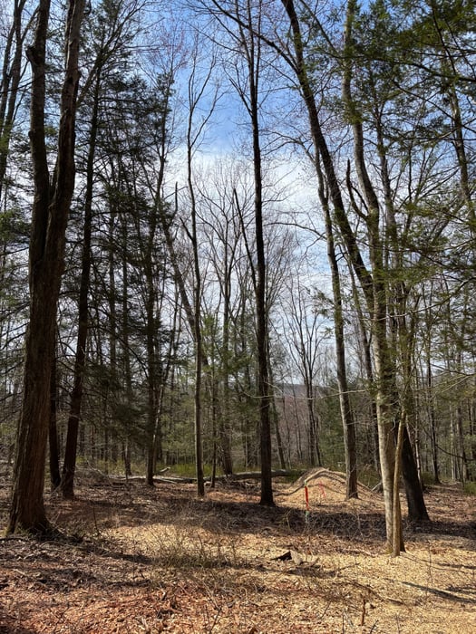 Lot 00 Chalybes Road West Photo 1