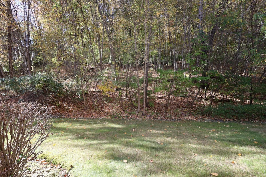 62 Deer Run #62 Photo 7