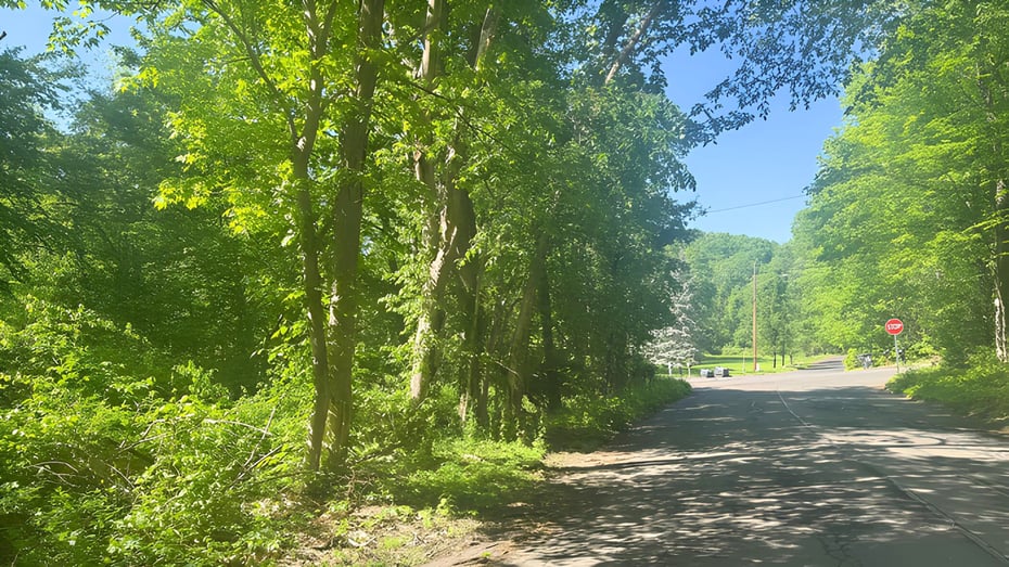 31 Bruschayt Drive Photo 1