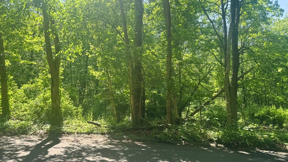 31 Bruschayt Drive Photo 2