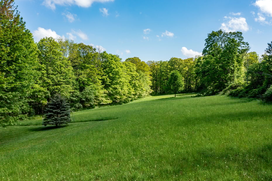 455 Milton Road Photo 4