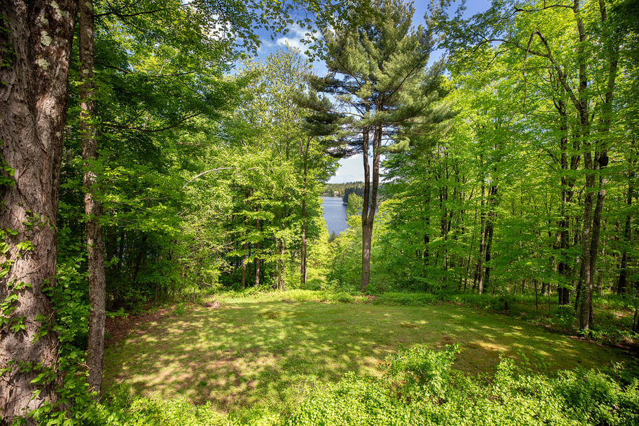 455 Milton Road Photo 16