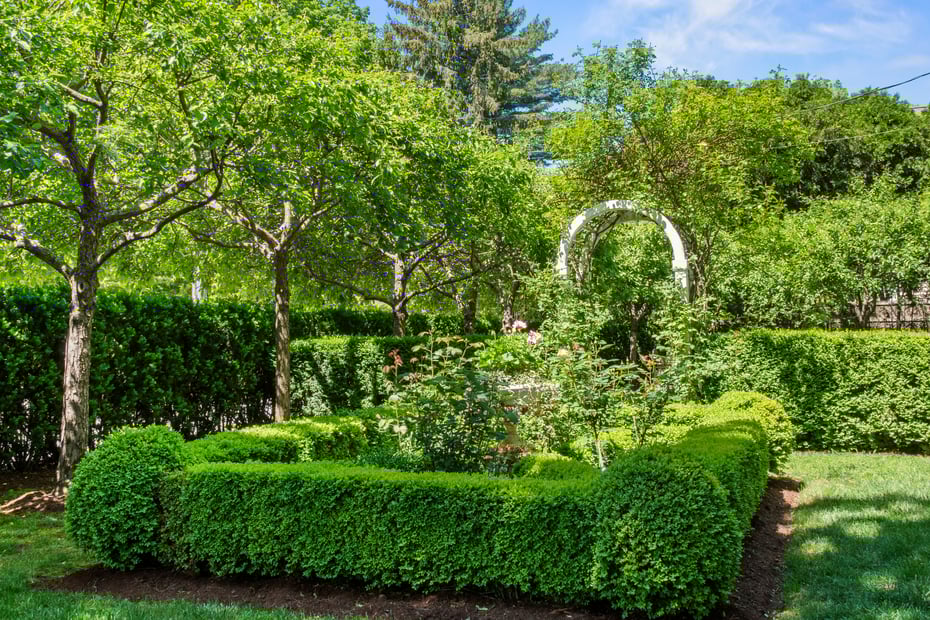 20 Lyme Street Photo 7