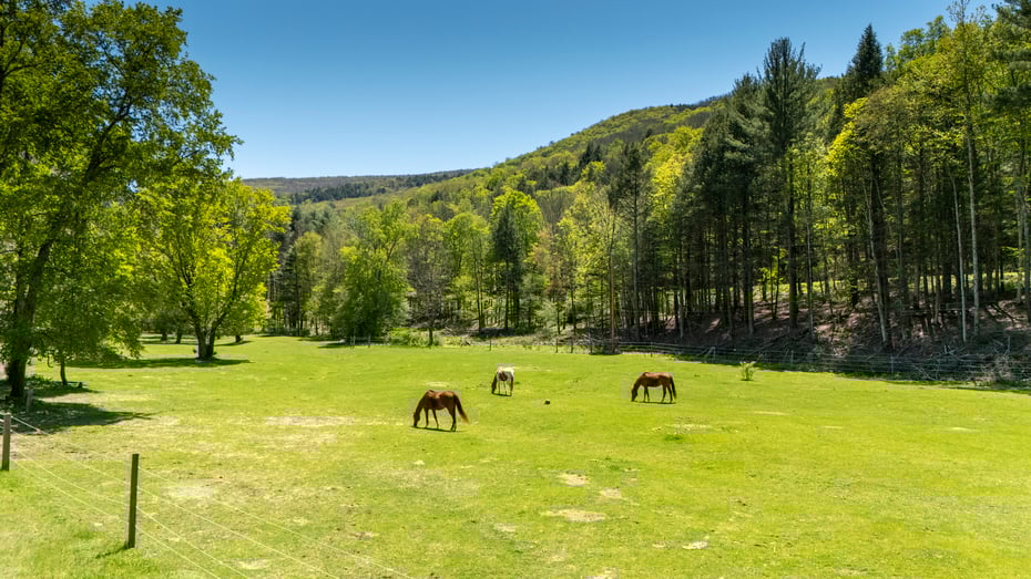 390 Erpf Road Photo 39