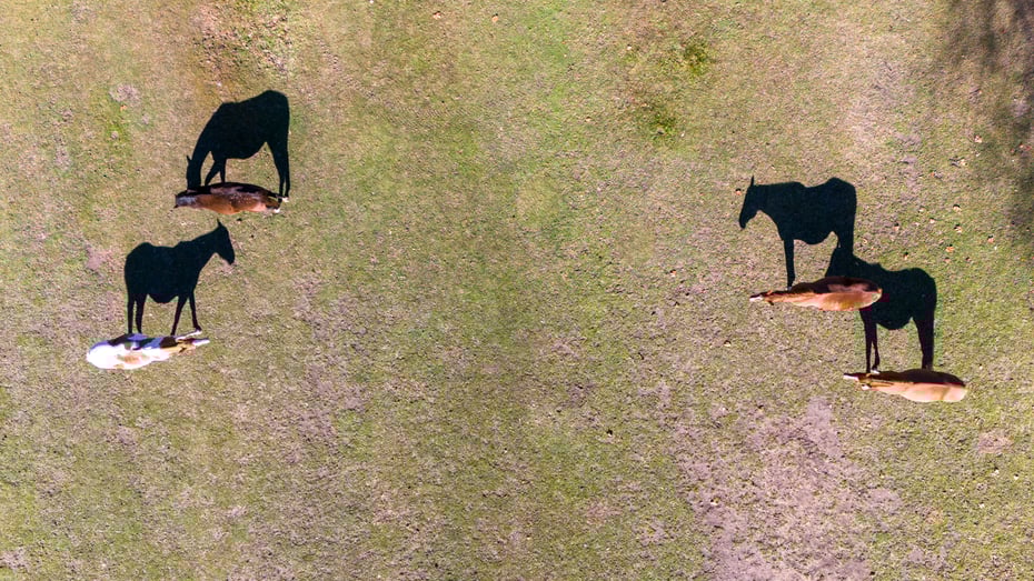 390 Erpf Road Photo 40