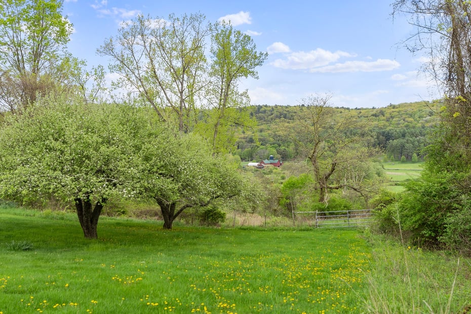 278 And 282 Farnum Road Photo 20