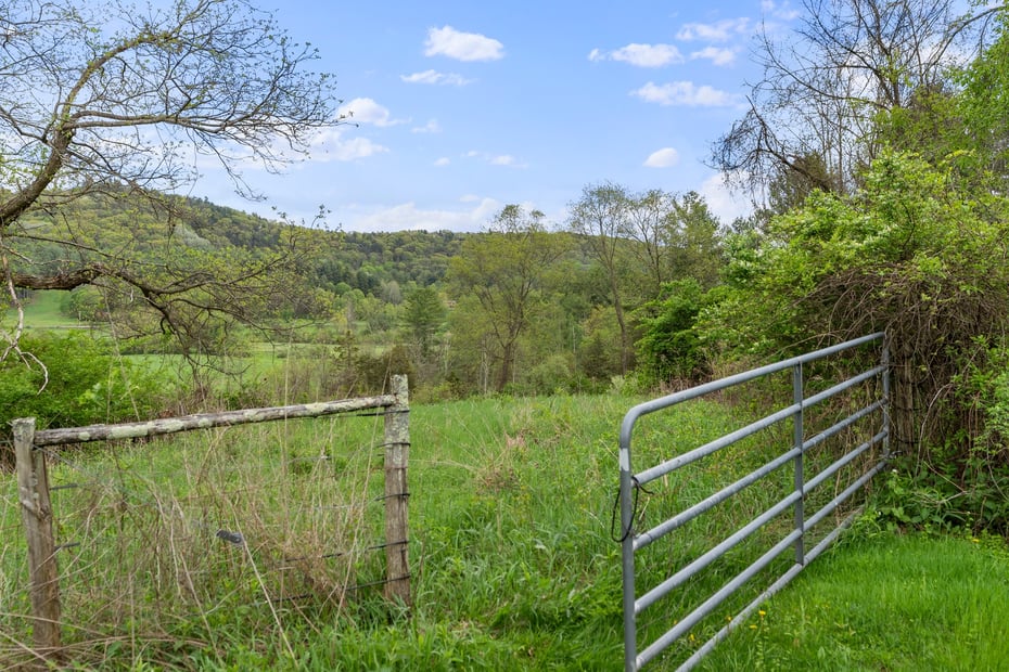 278 And 282 Farnum Road Photo 16