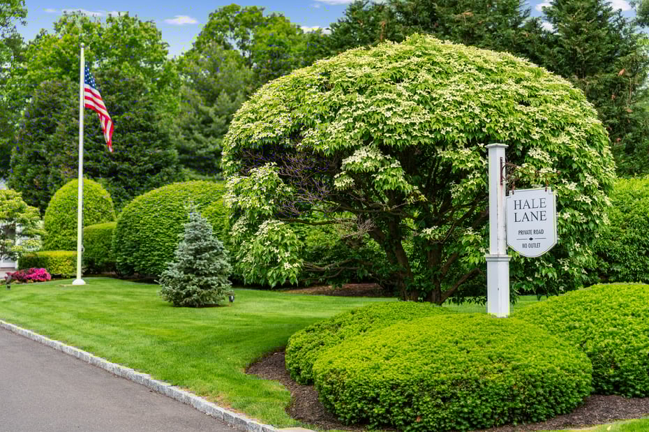44 Hale Lane Photo 2