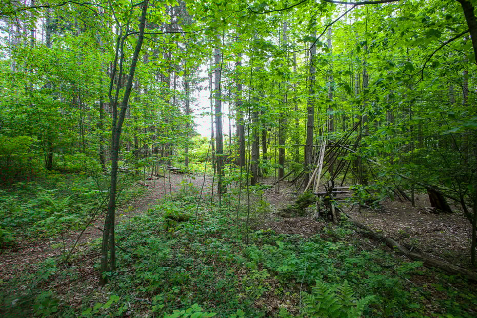 31 Oxbow Rd Photo 21