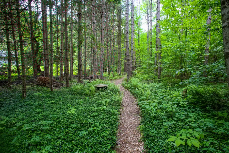 31 Oxbow Rd Photo 24