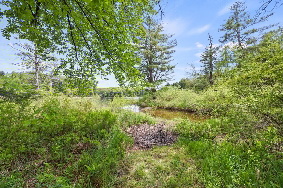 171 Lake Shore Dr Photo 56
