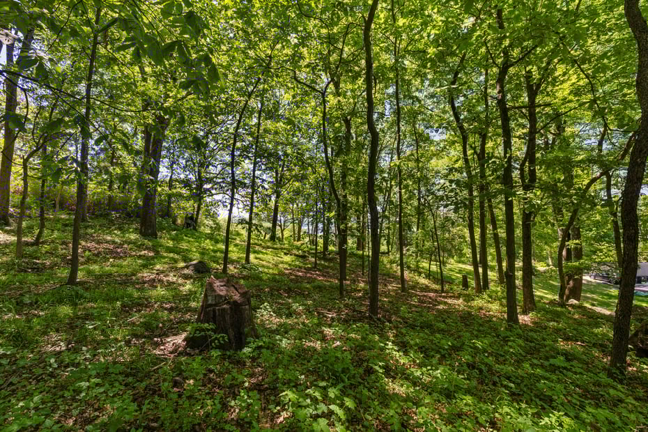 8 Prickly Pear Hill Road Photo 4