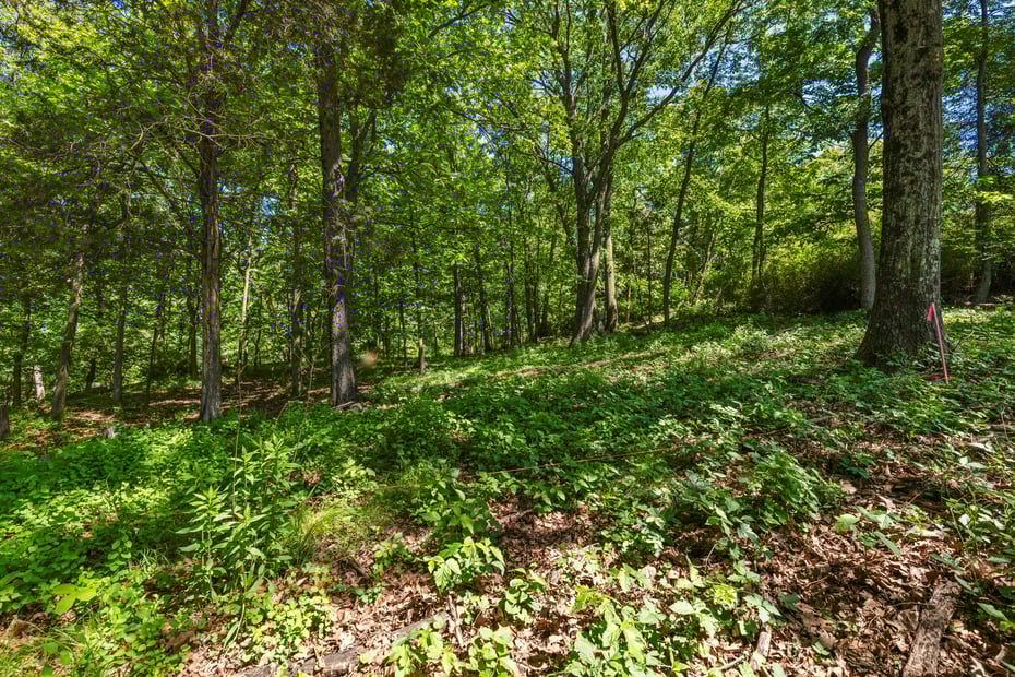 8 Prickly Pear Hill Road Photo 6