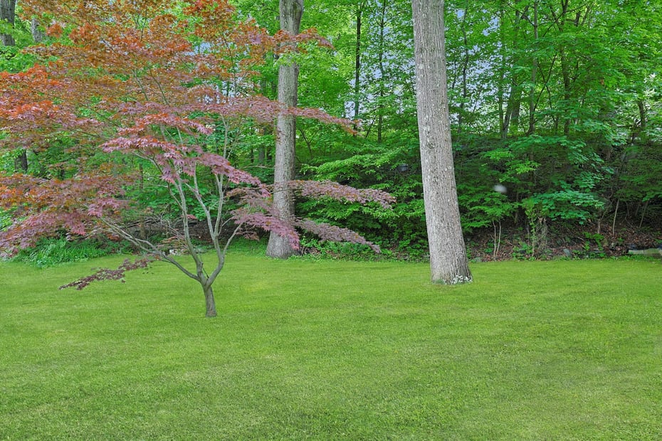 66 Upland Avenue Photo 11