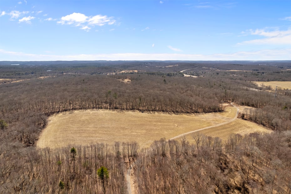 672 Roode Road Photo 5