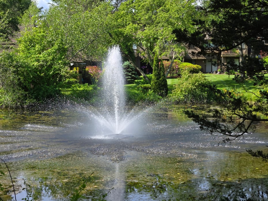 501 Heritage Village  #A Photo 2