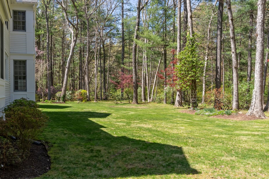 14 Fernhurst Photo 38