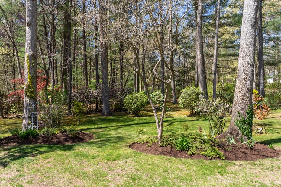 14 Fernhurst Photo 39