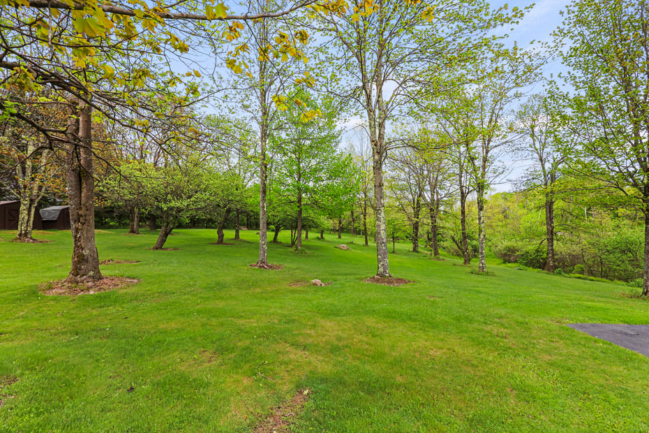 64 Blotz Rd Photo 4