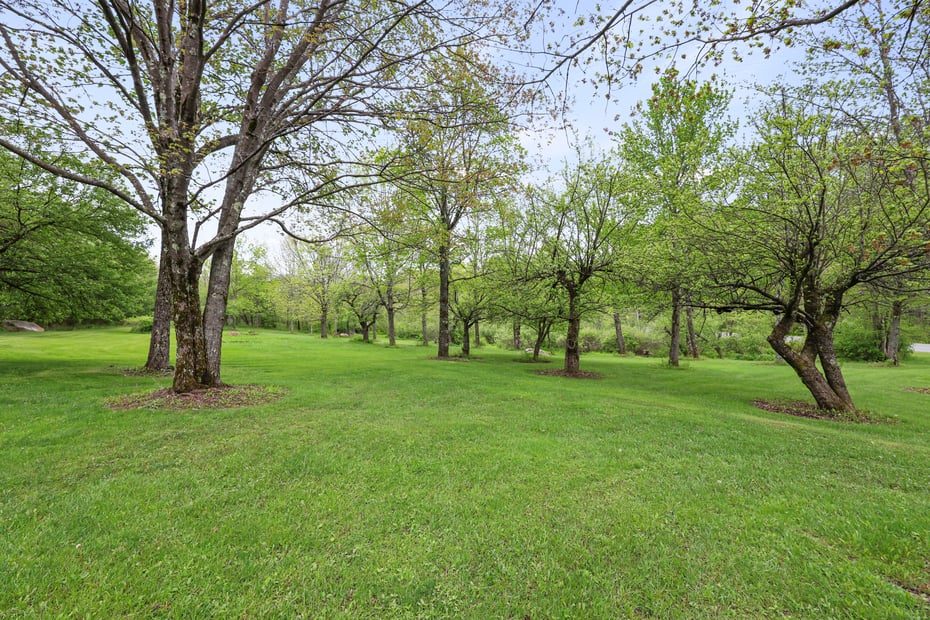 64 Blotz Rd Photo 44