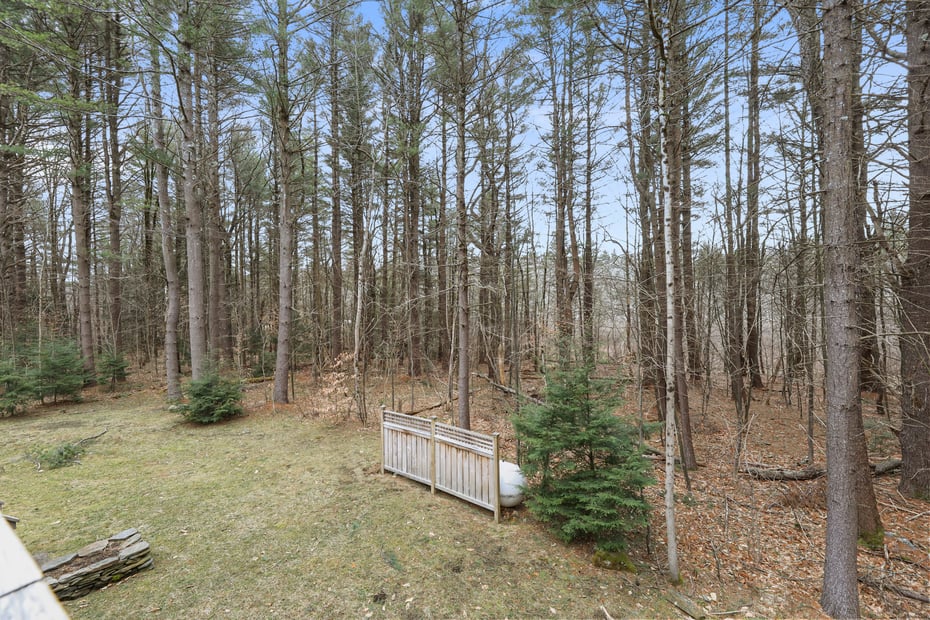 105 Harrington Rd Photo 16