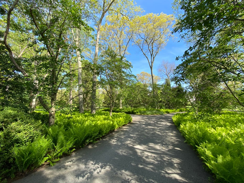 109 Elys Ferry Road Photo 3