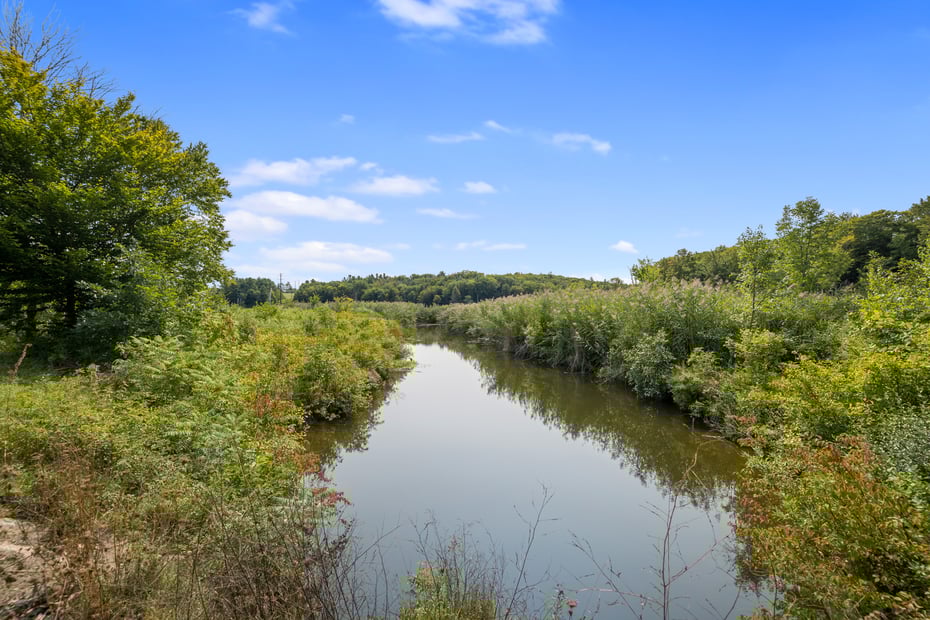 14 Meadowcrest Drive North Photo 19