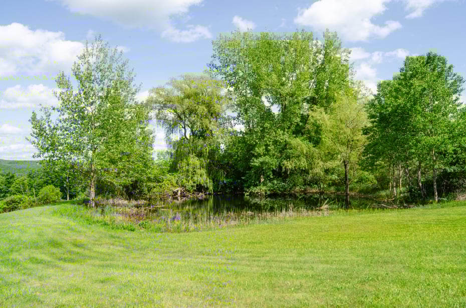 150 Sawchuck Road Photo 7