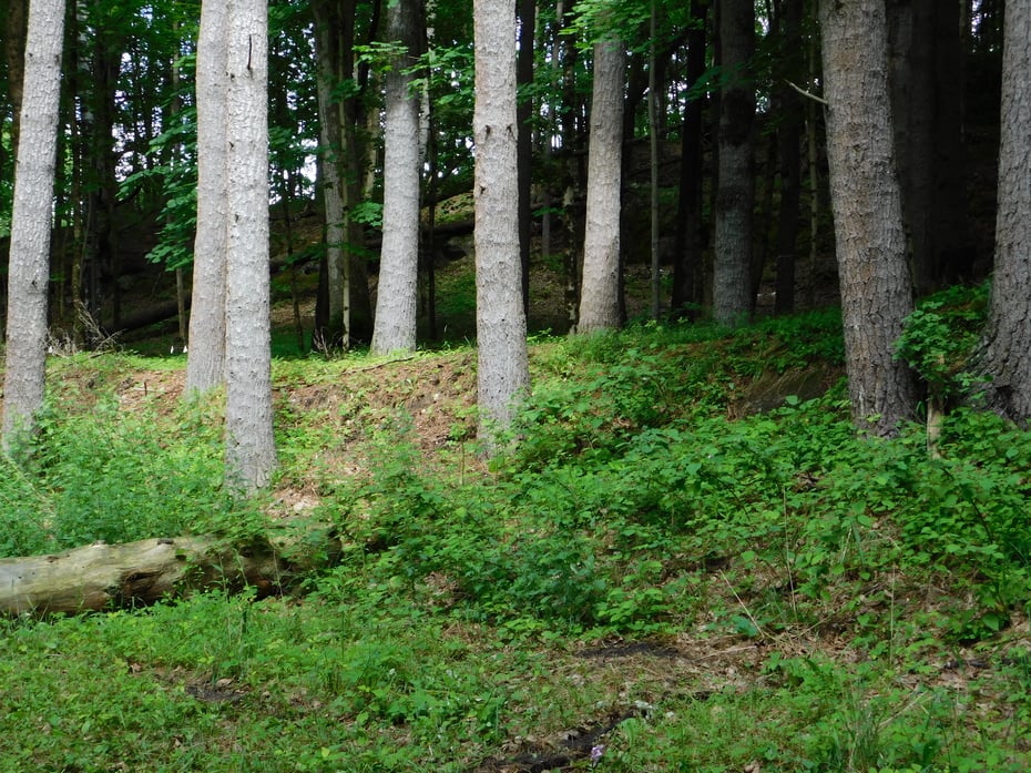215 Taconic Road Photo 3