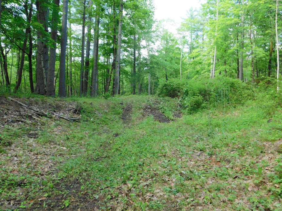 215 Taconic Road Photo 4