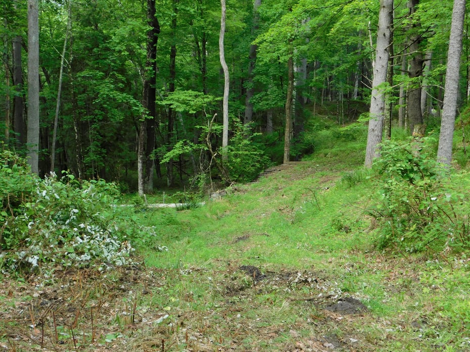 215 Taconic Road Photo 5
