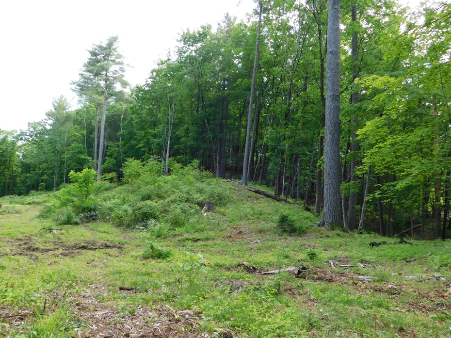 215 Taconic Road Photo 10