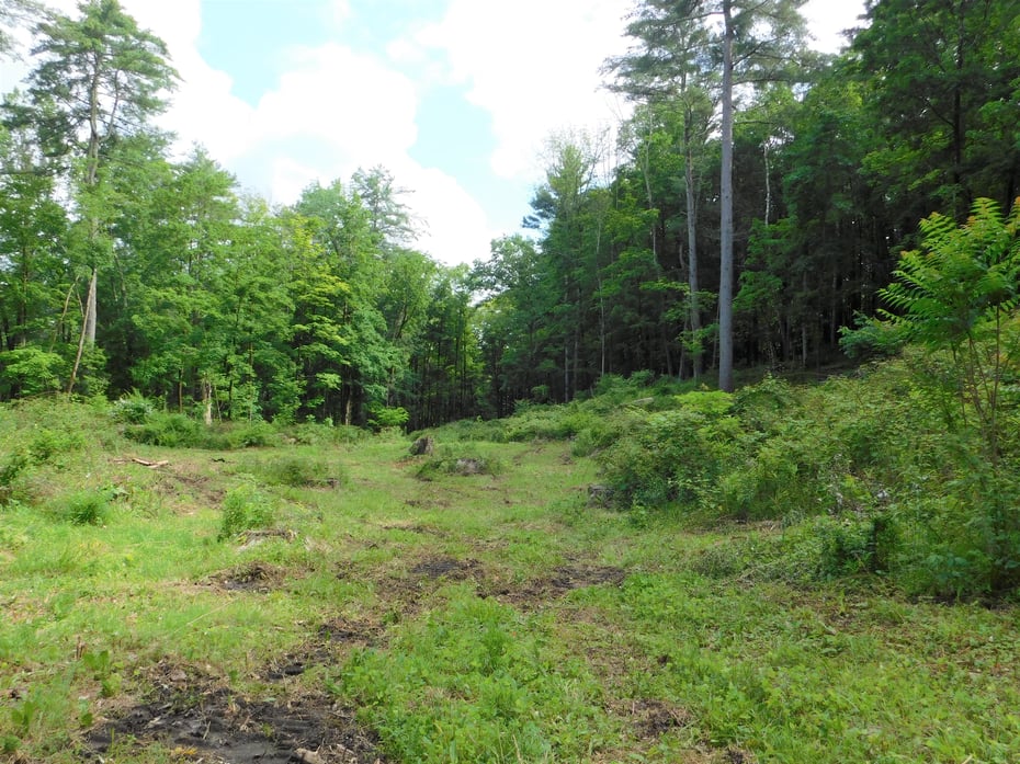 215 Taconic Road Photo 13