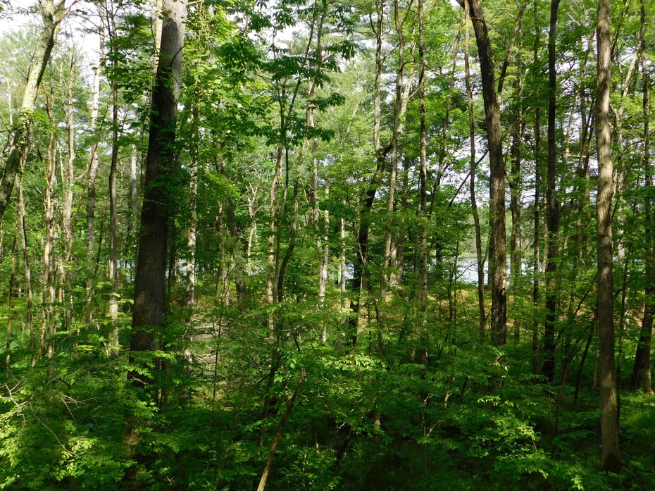 215 Taconic Road Photo 16