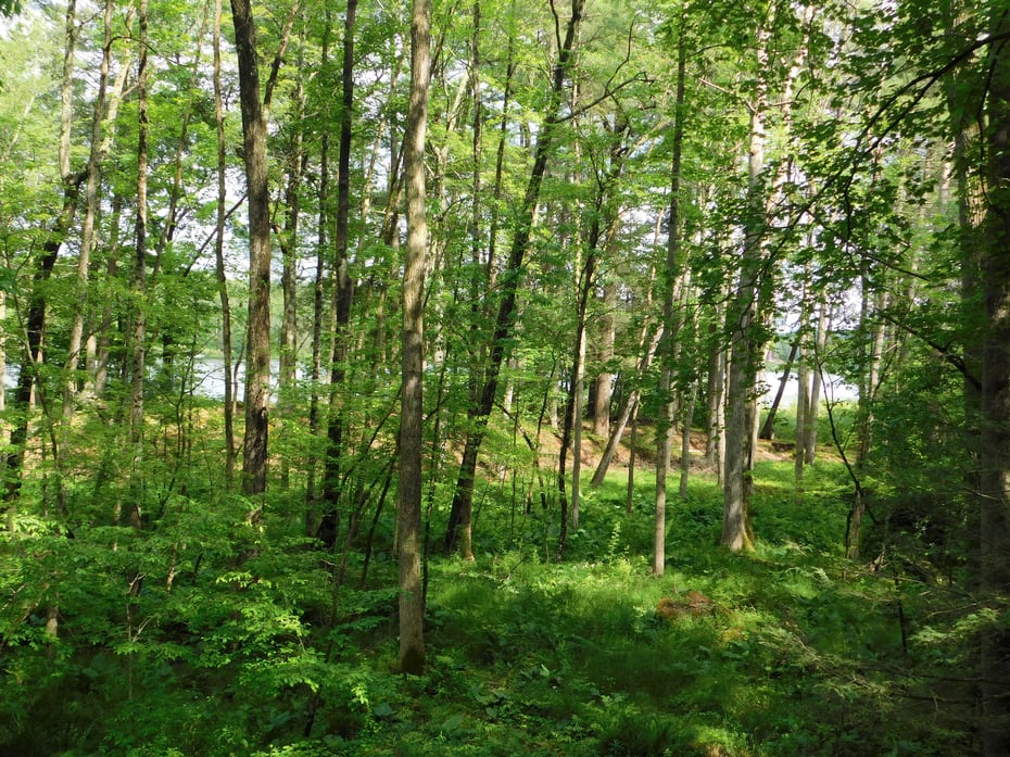 215 Taconic Road Photo 17