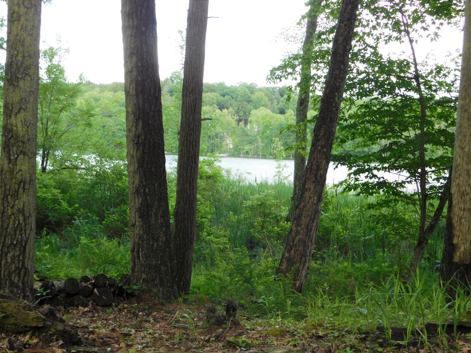 215 Taconic Road Photo 1
