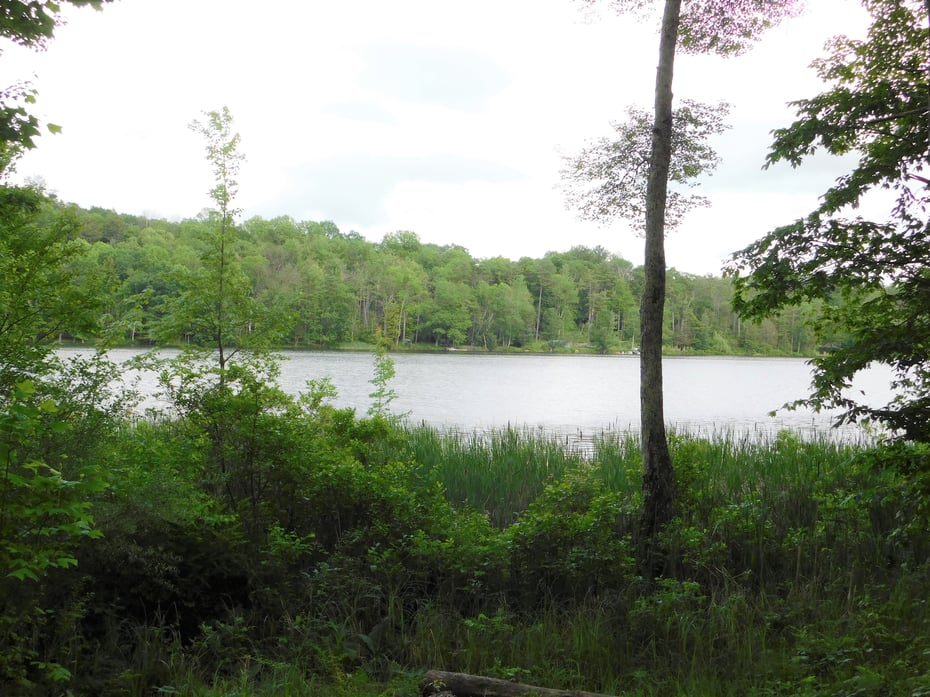 215 Taconic Road Photo 18