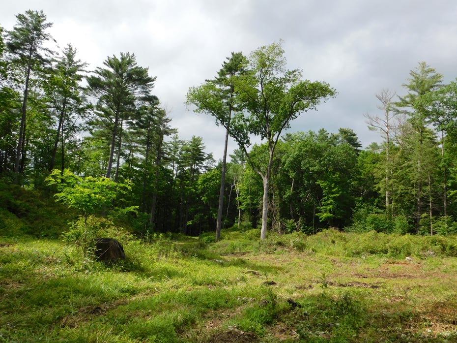 215 Taconic Road Photo 21