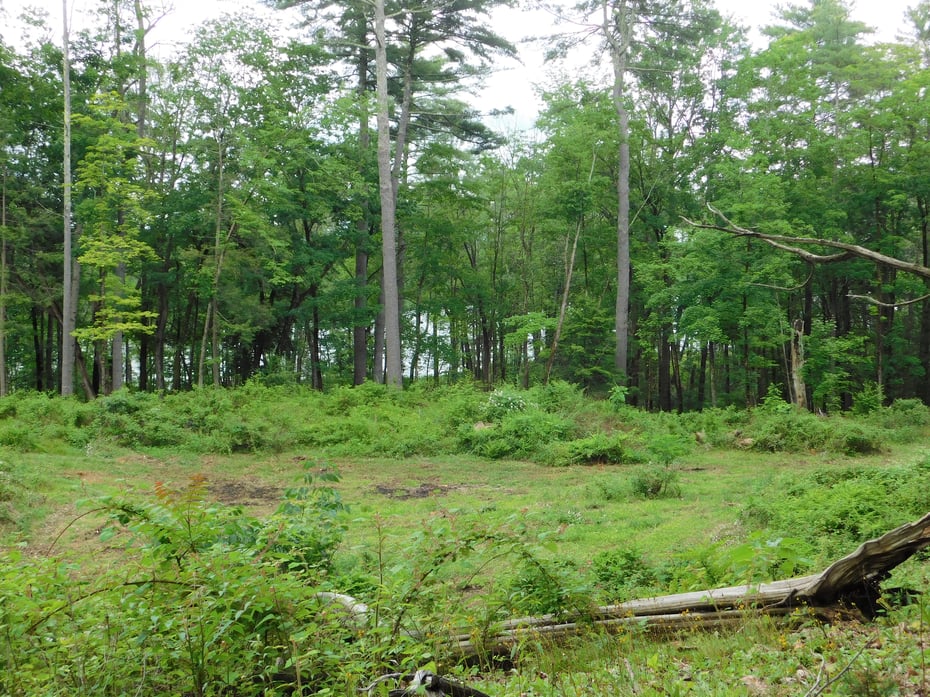 215 Taconic Road Photo 23