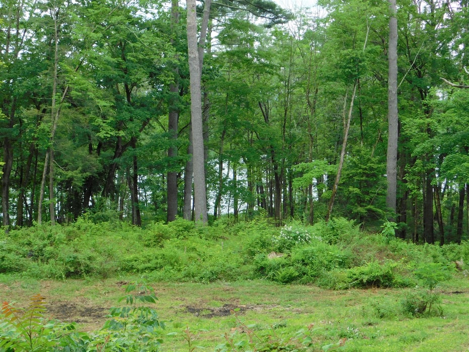 215 Taconic Road Photo 24