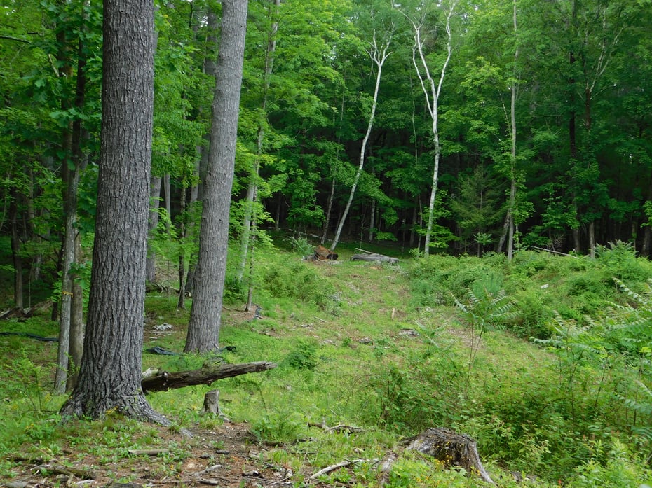 215 Taconic Road Photo 25