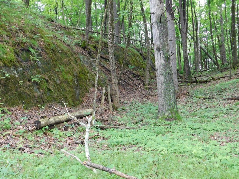 215 Taconic Road Photo 26