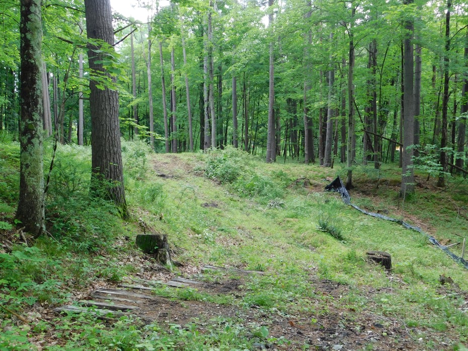 215 Taconic Road Photo 29