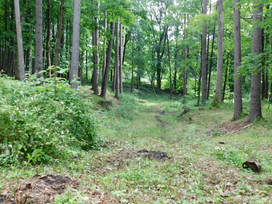 215 Taconic Road Photo 30