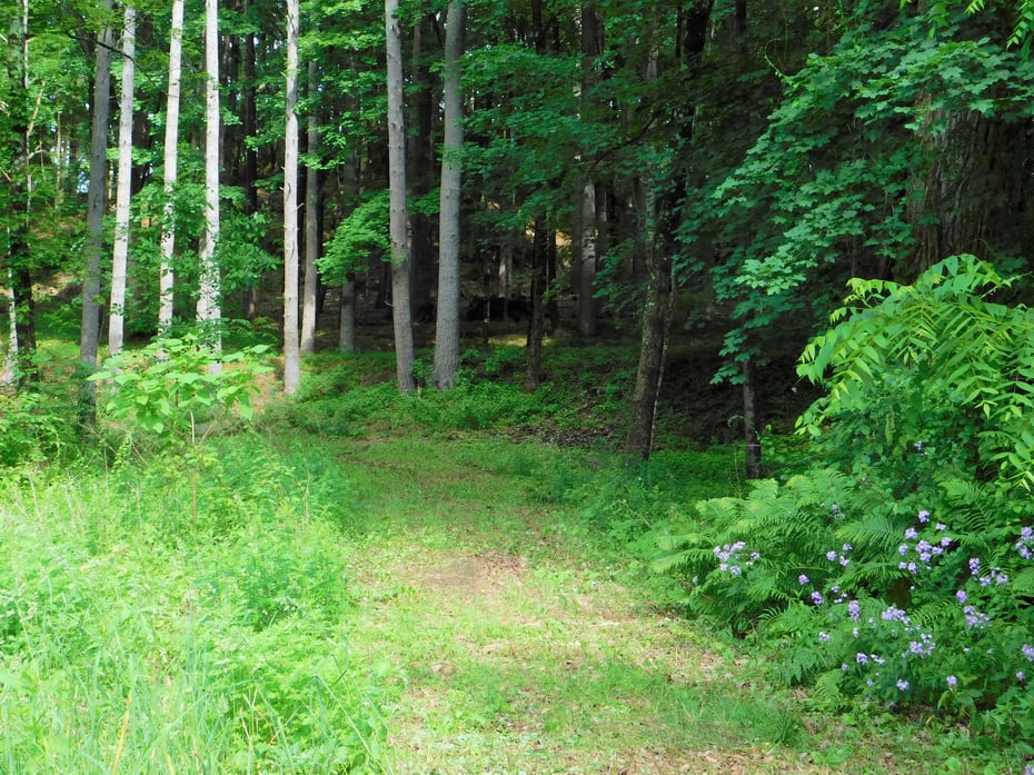 215 Taconic Road Photo 2