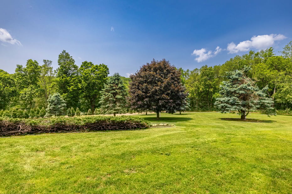 93 Northfield Road Photo 35