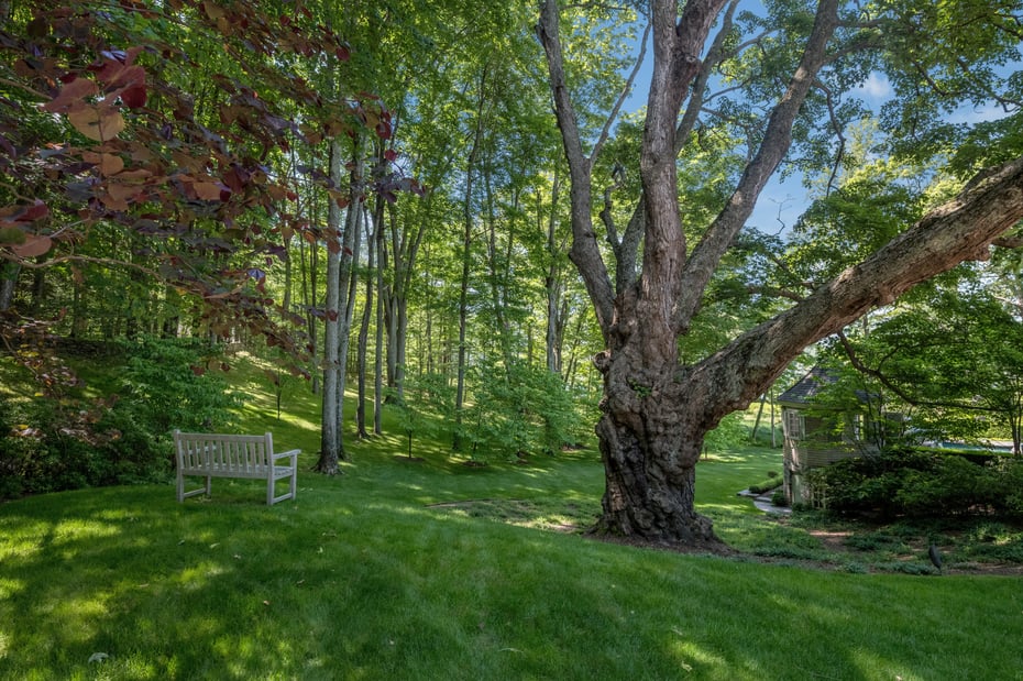 Lyme Single Family Photo 39