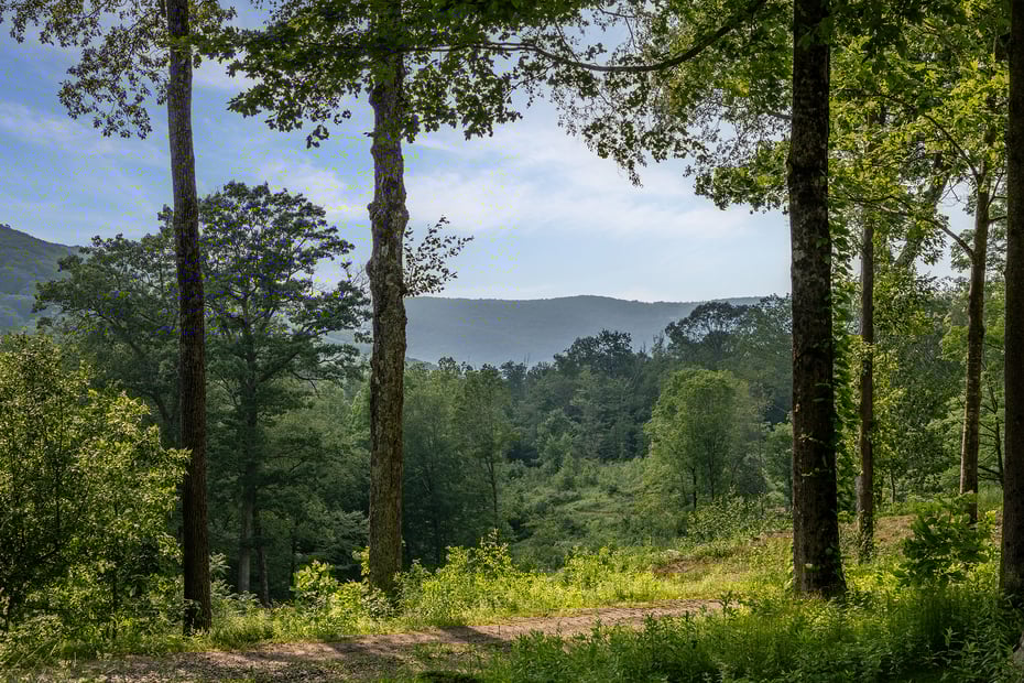 178 Carter Road Photo 32
