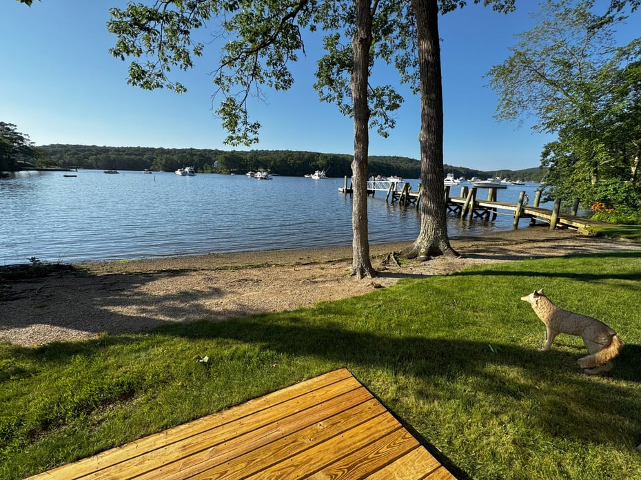 109 Elys Ferry Road Photo 33