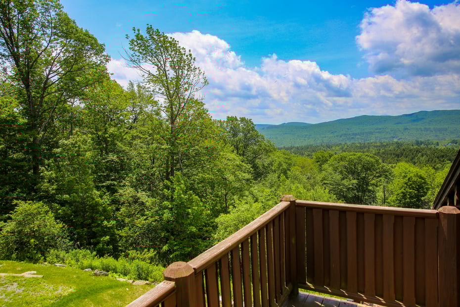 214 Mohawk Trail Photo 39